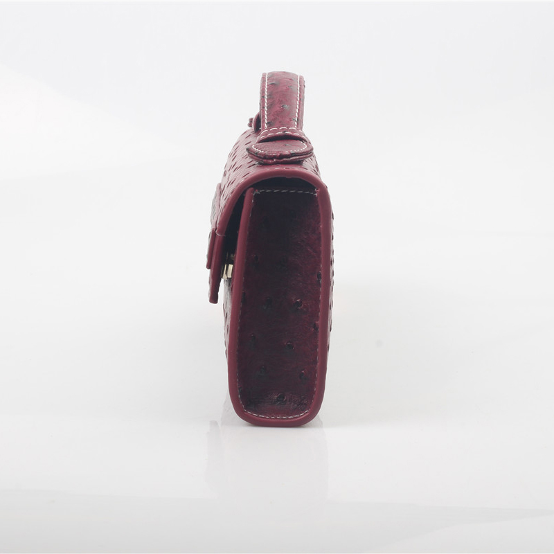 Dubai New Women Ostrich Patter - Women Bags In Dubai recension och pris